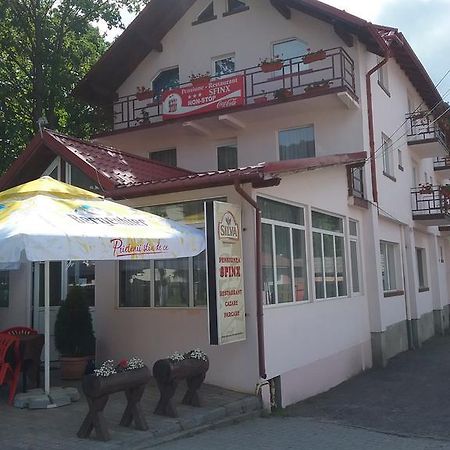Pensiune Restaurant Sfinx Buşteni Exterior foto